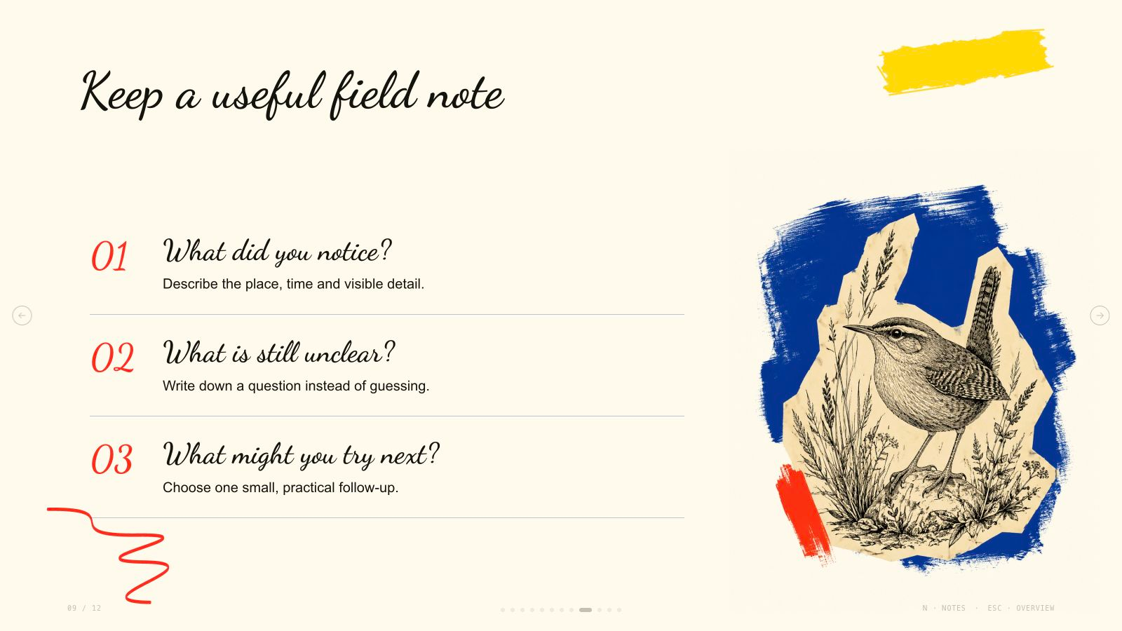 Brush Paper Deck result preview 9