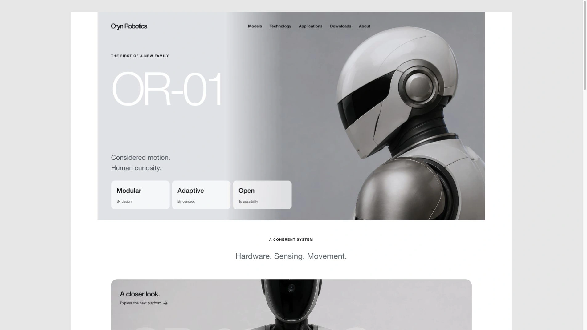 Silver Robot Product Site result preview